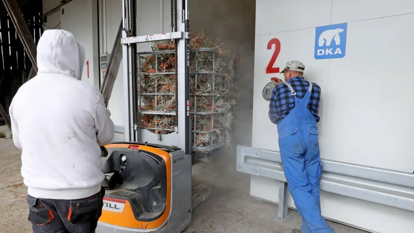 Élelmiszerválságba sodródik az unió