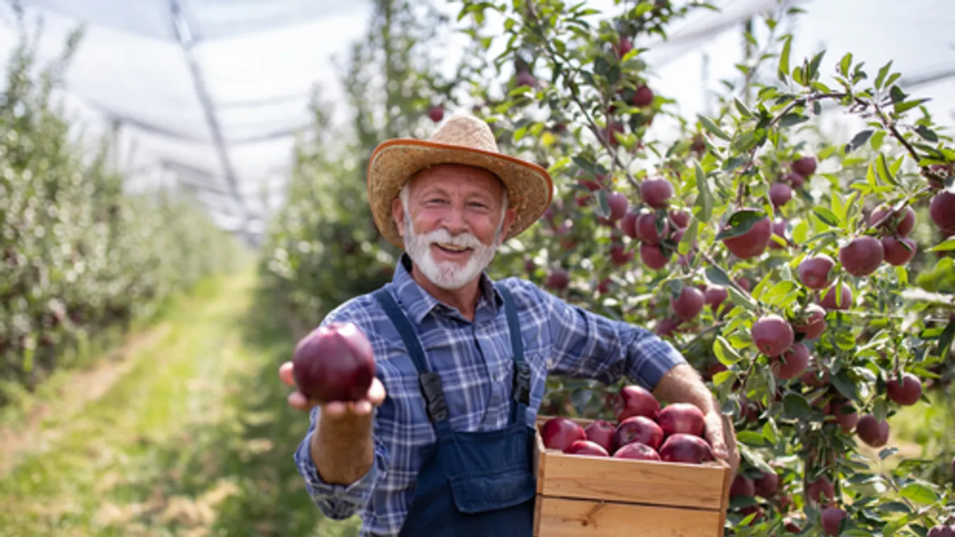 Agrárminisztérium: A Bábolnai Gazdanapok idén is a gazdák szolgálatában