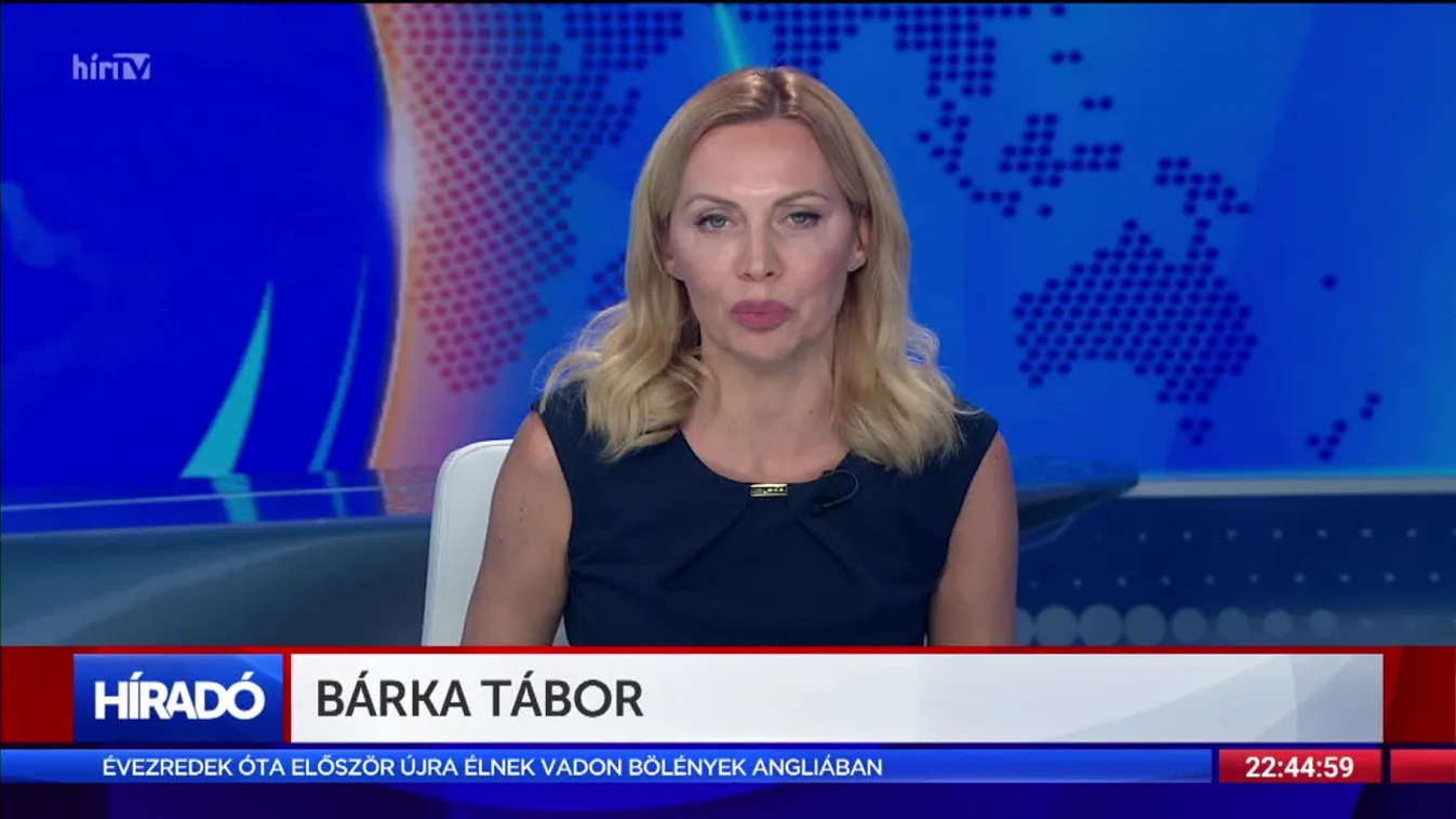 Bárka tábor