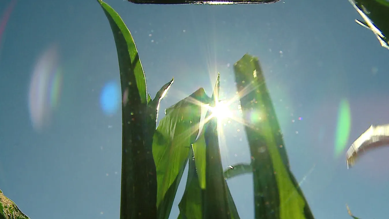 Radar: Egyre súlyosabb az aszály