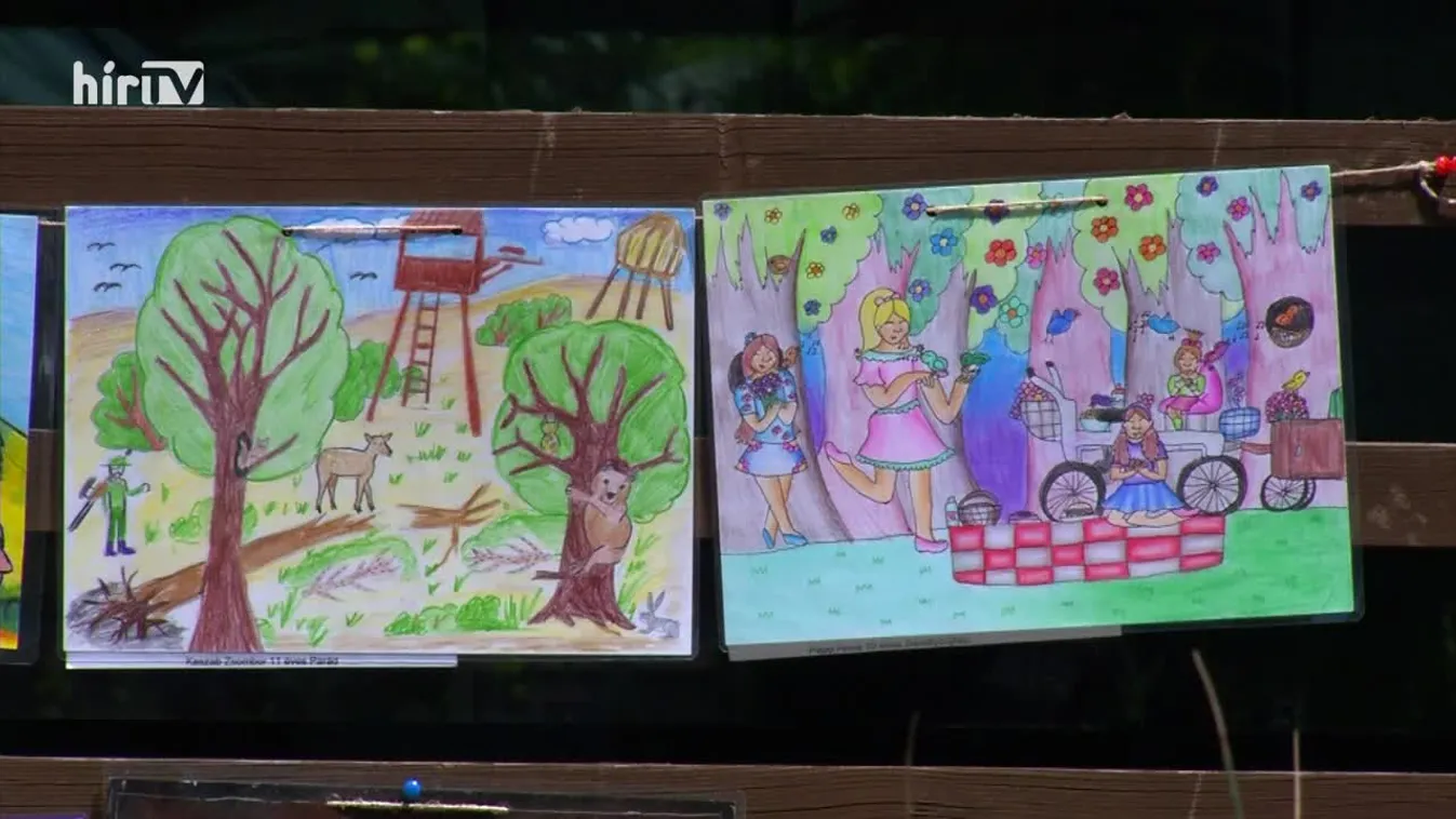 Zöldövezet (2022-07-17)