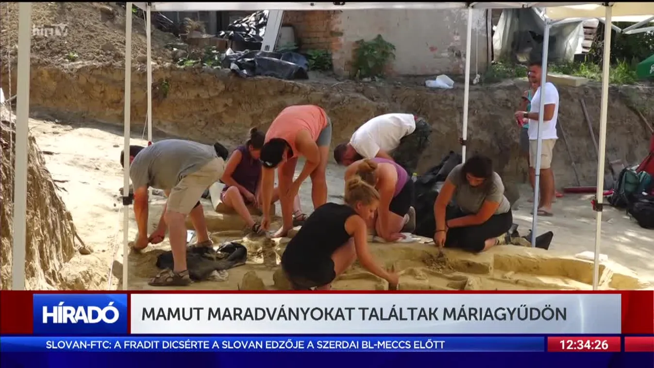 Mamut maradványokat találtak Máriagyűdön