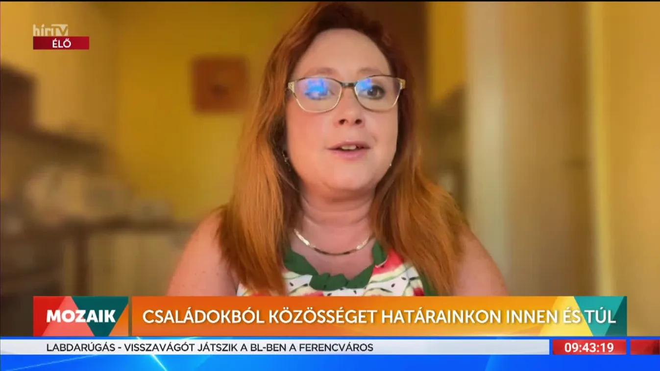 Mozaik - Családokból közösséget határainkon innen és túl