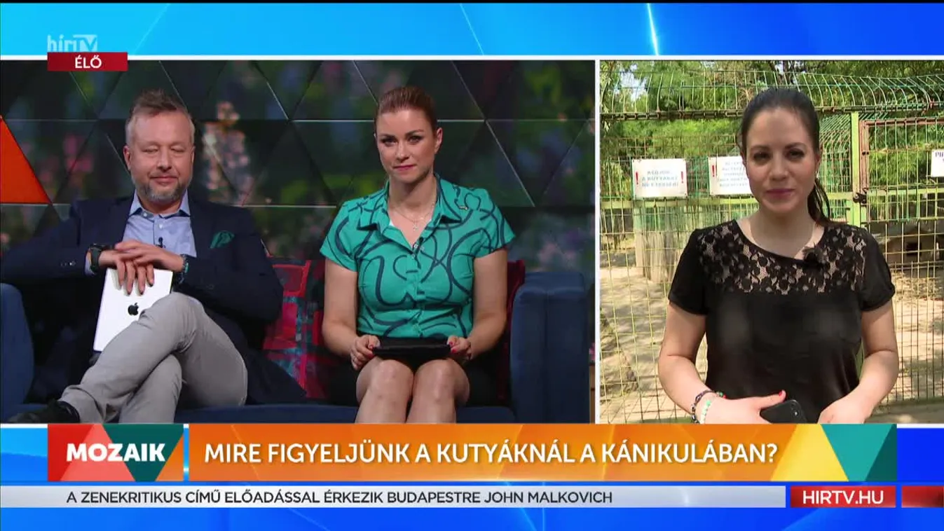 Mozaik - Mire figyeljünk a kutyáknál a kánikulában? (2022-07-05)