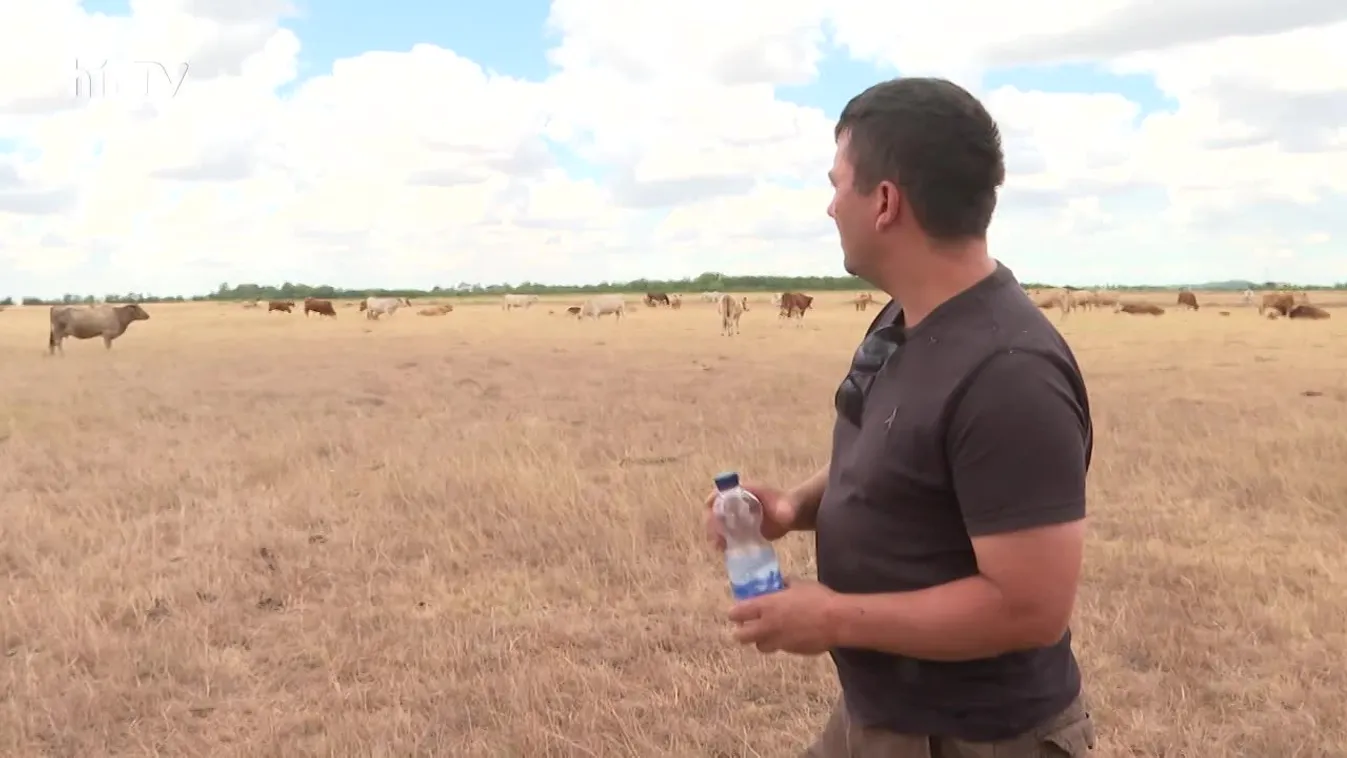 Soroló (2022-07-23)