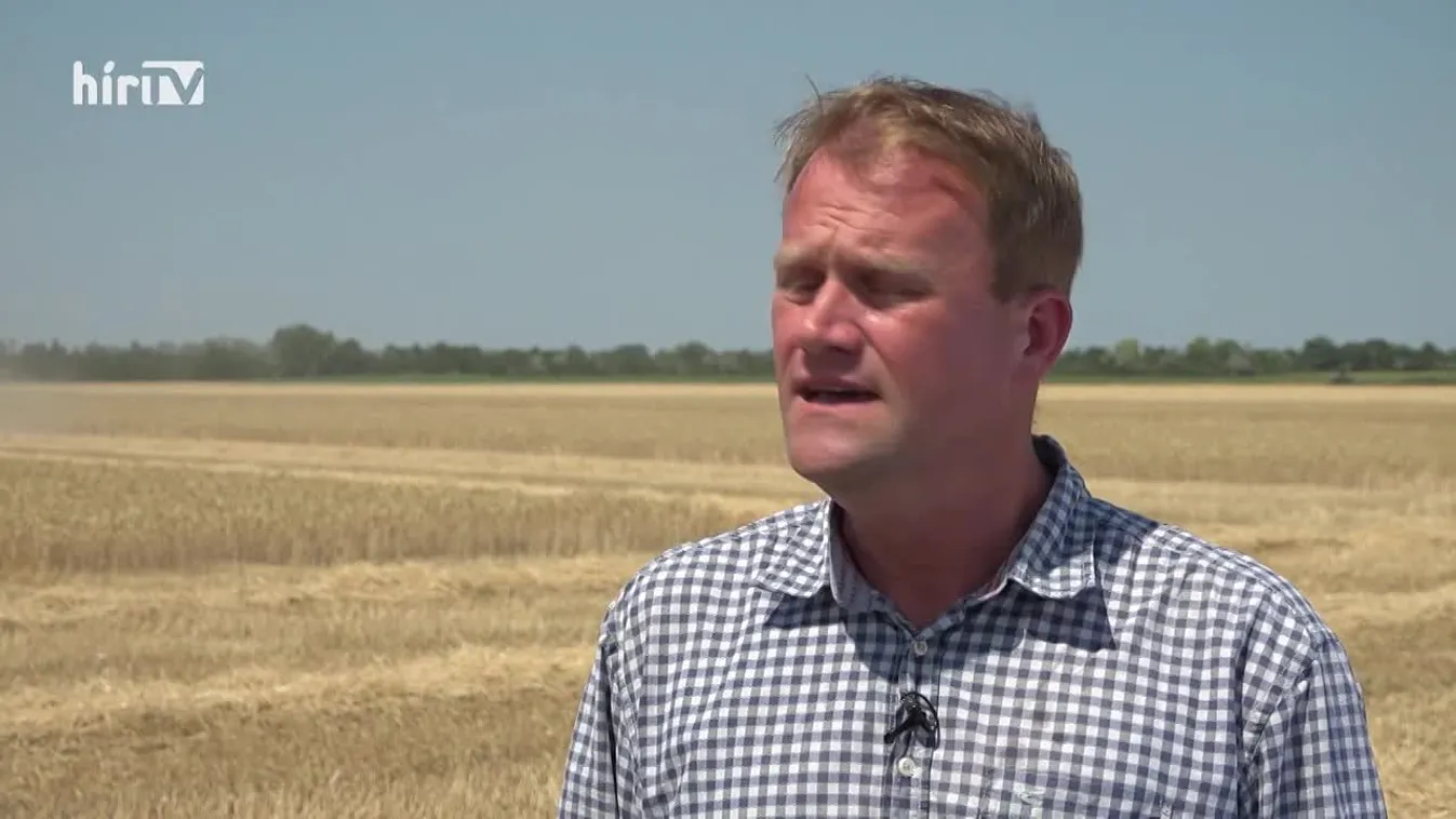 Soroló (2022-07-16)