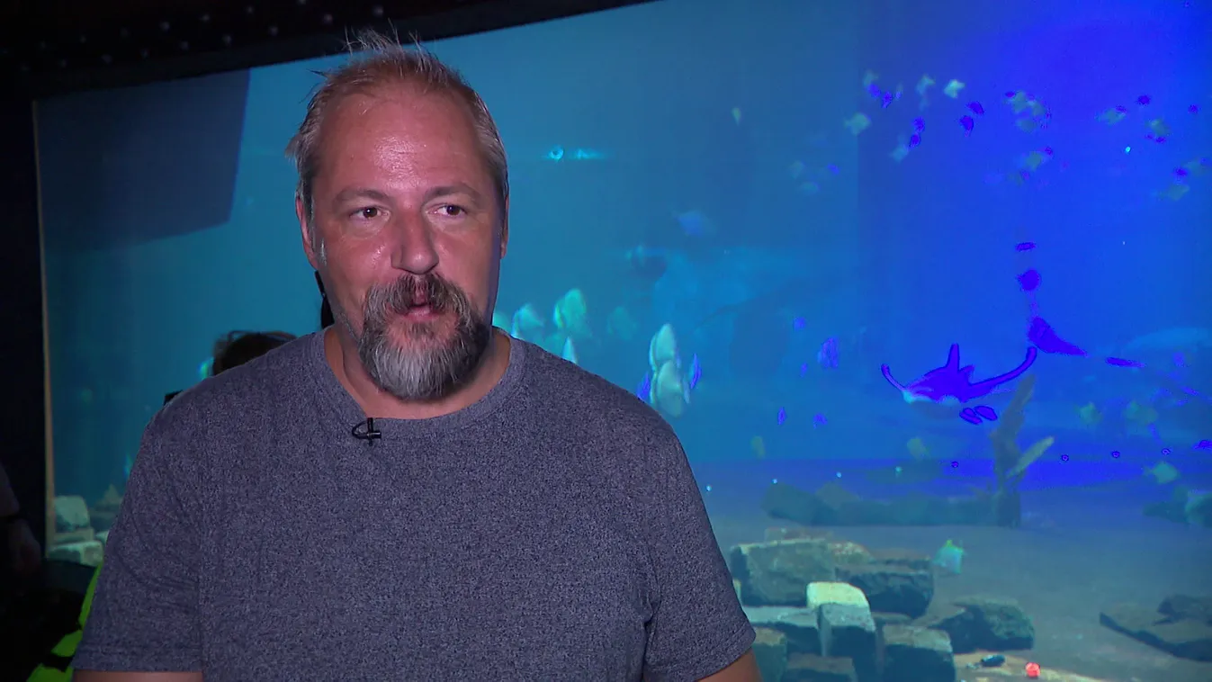 Radar: Megdöbbentő cápatámadások