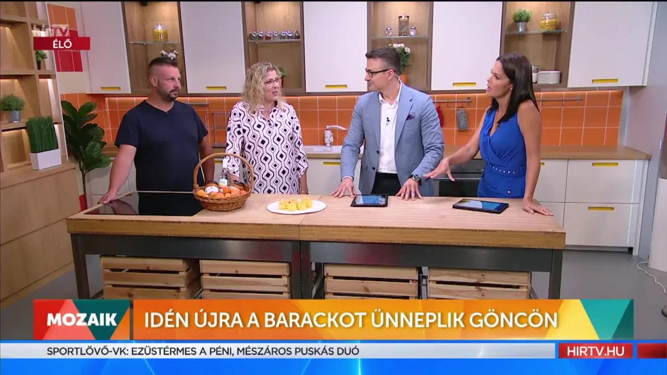 Mozaik - Idén újra a barackot ünneplik Göncön