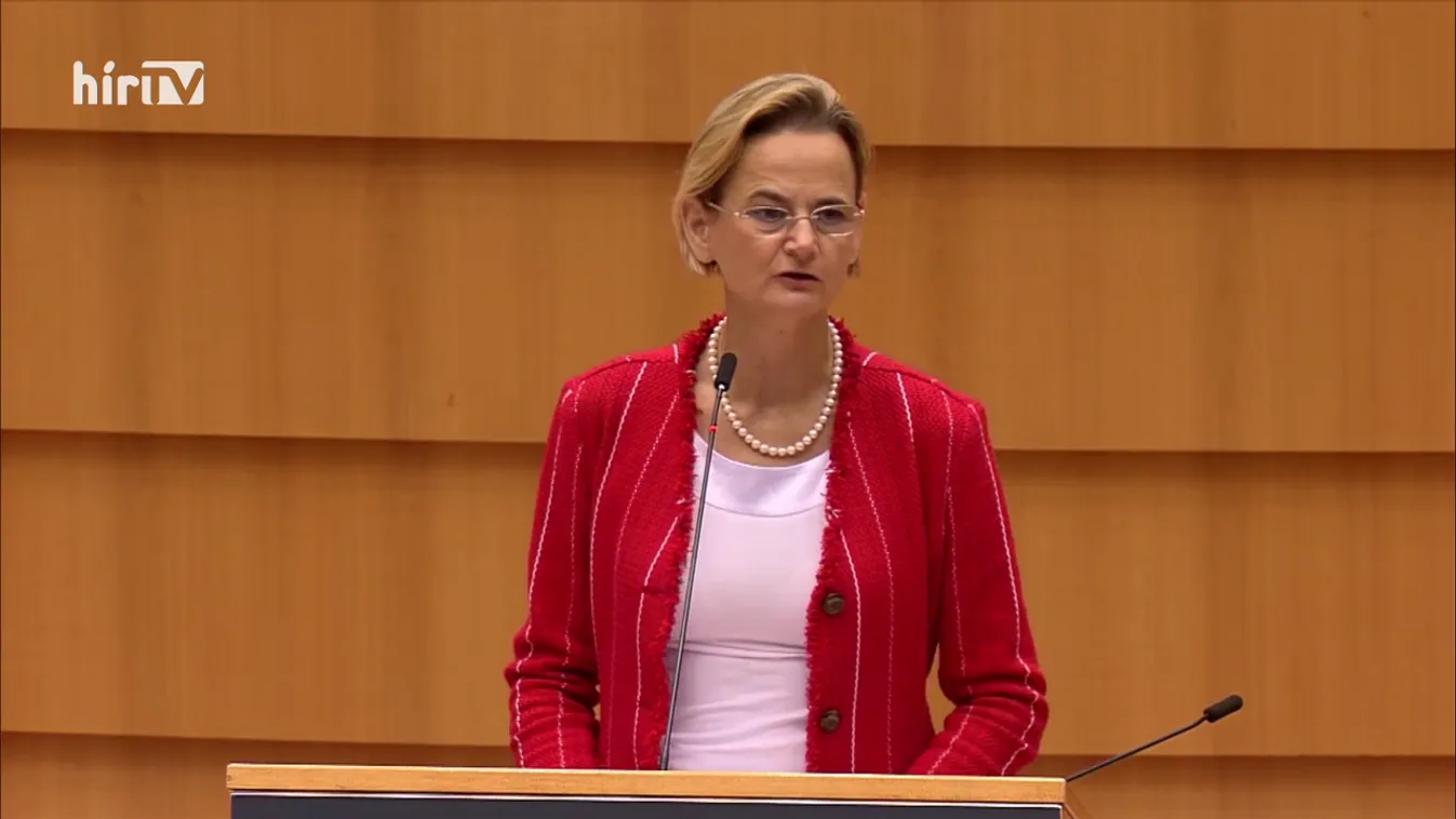 Zöldövezet: A nagy szennyezők viseljék a terheket