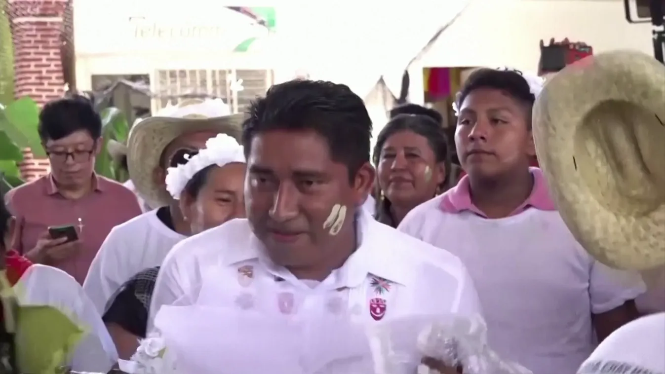 Radar: Színes állati hírek