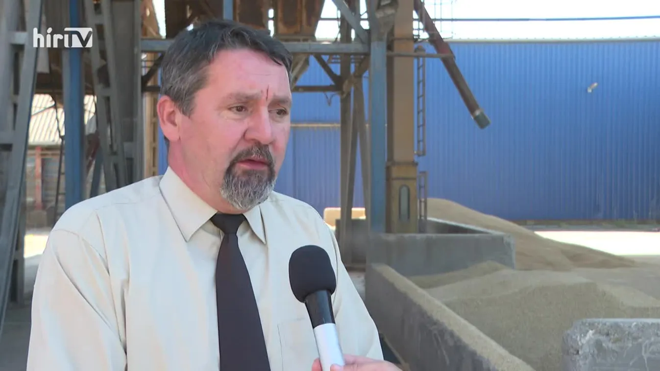 Soroló (2022-07-02)