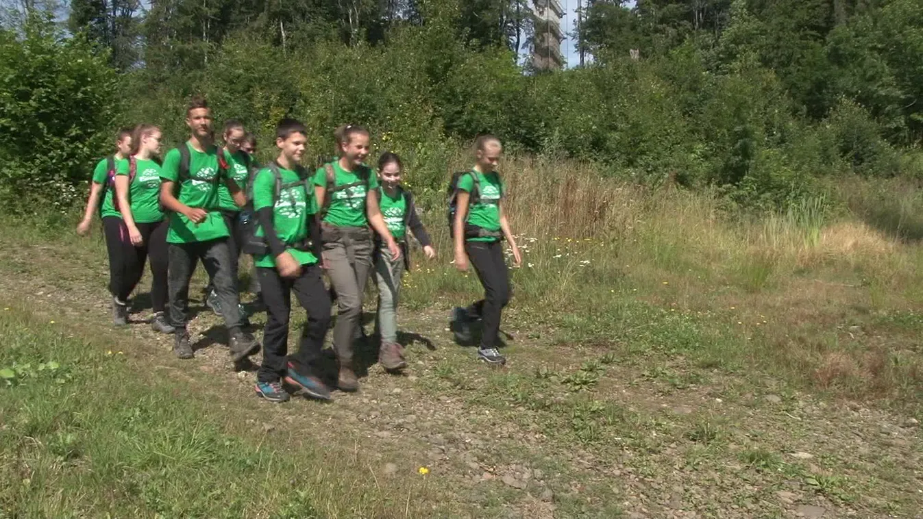 Radar - A bükki erdők túrája