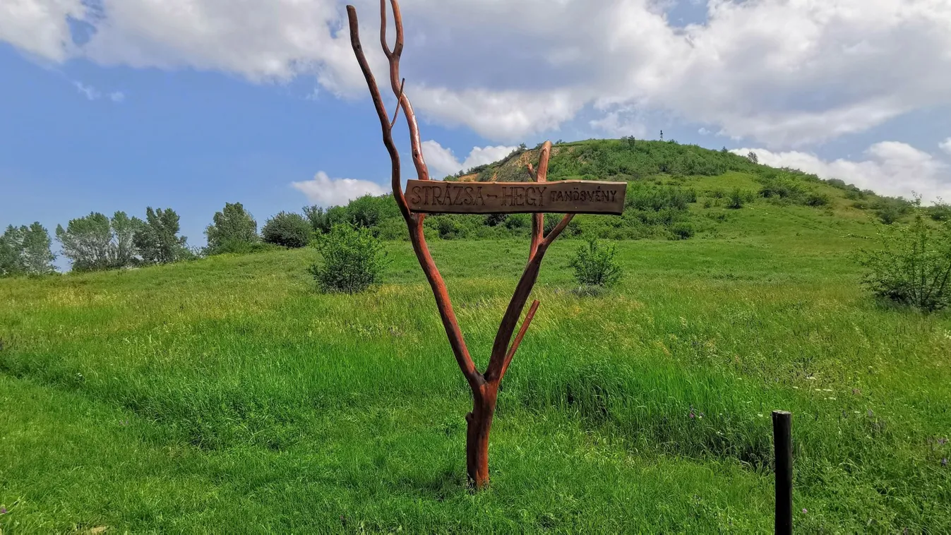 Megújult az esztergomi Strázsa-hegy tanösvény