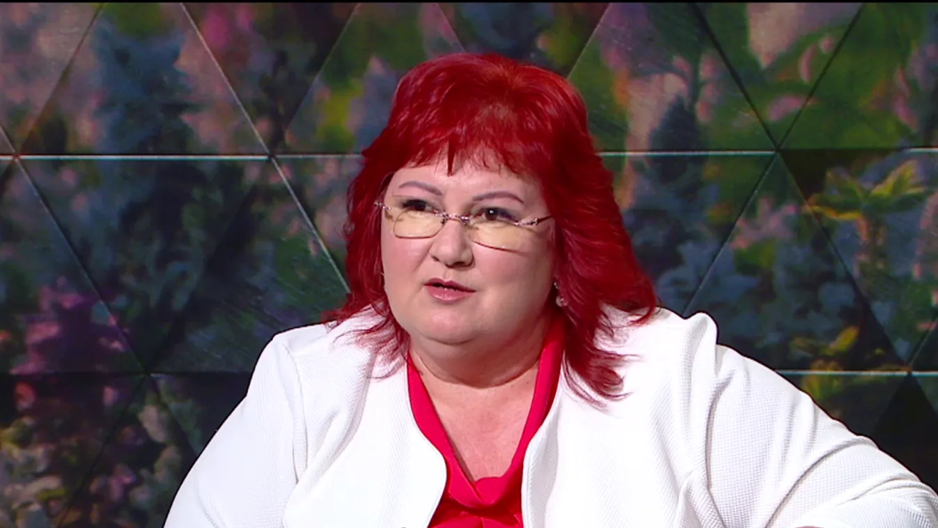 Mozaik - Milyen hatással van a háború a turizmusra?