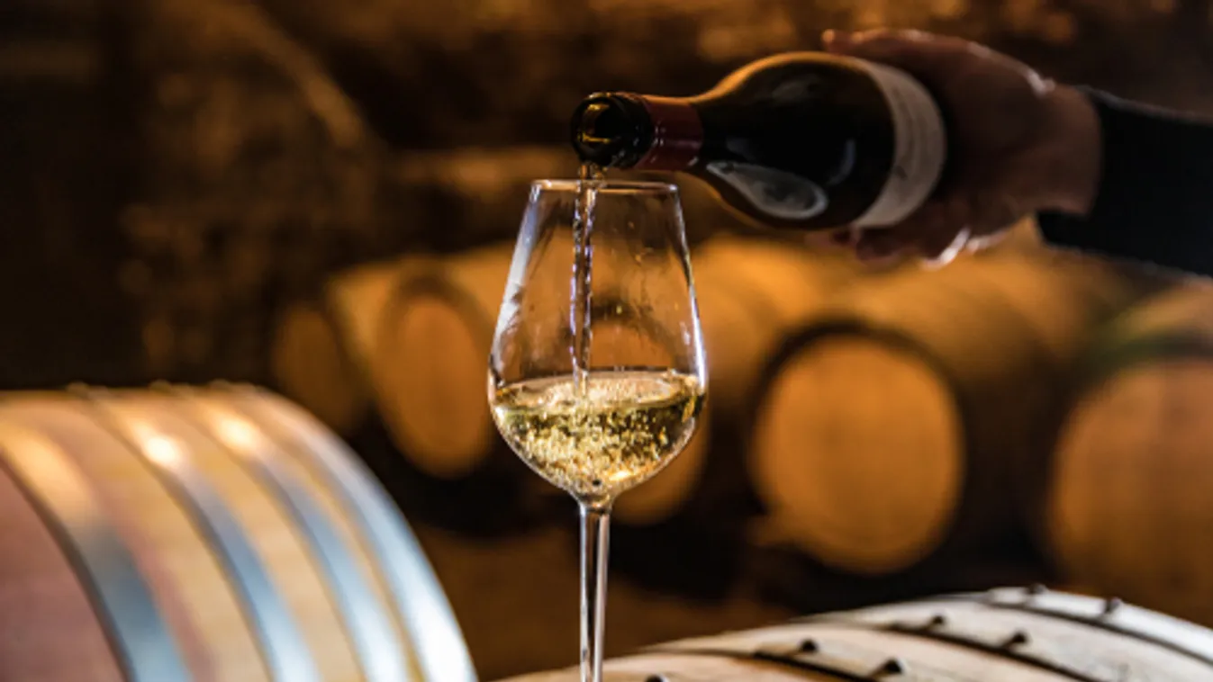 Az AM helyettes államtitkára a magyar borok iránt jelentős külföldi keresletre számít idén