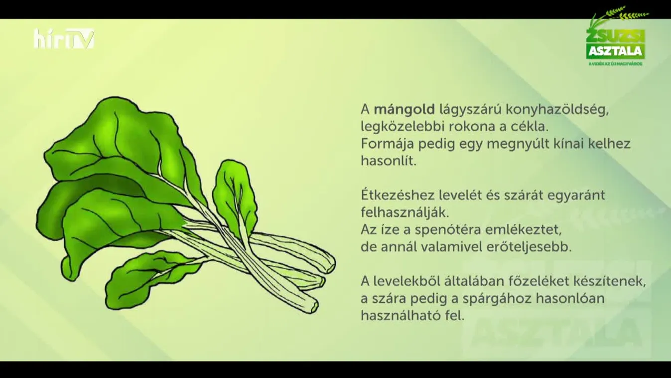 Zsuzsi asztala (2022-07-09)