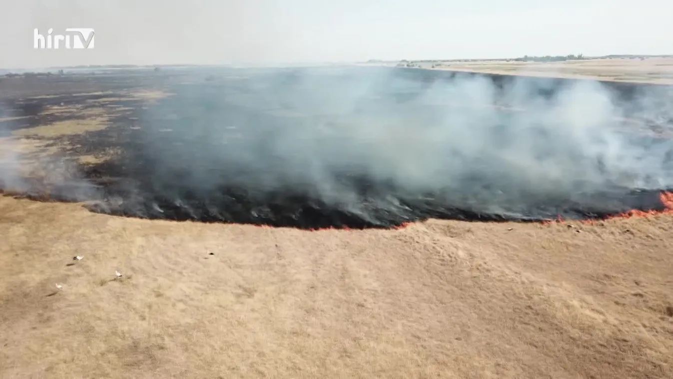 Zöldövezet (2022-08-14)