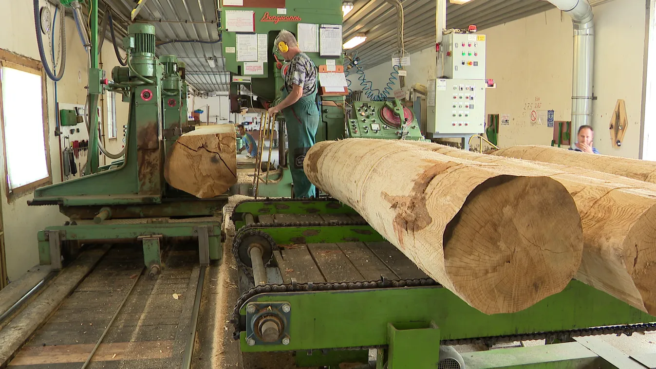 6,5 százalékkal nőtt a GDP a második negyedévben