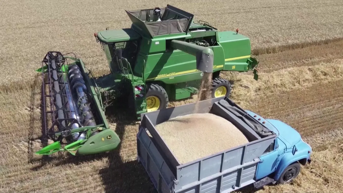 Radar - Az ukrán gabona és a világ élelmezése