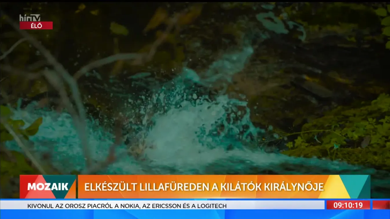 Mozaik - Elkészült Lillafüreden a kilátók királynője (2022-08-30)