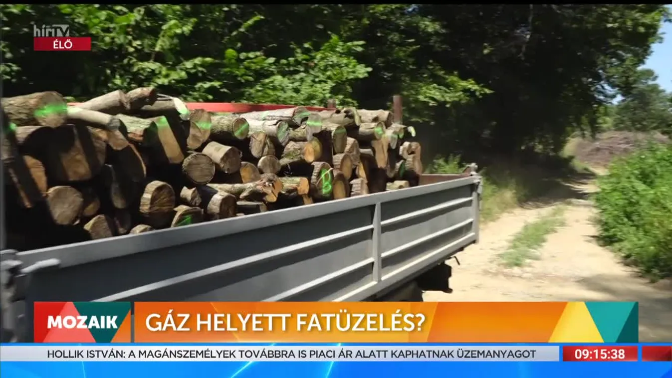 Mozaik - Gáz helyett fatüzelés? (2022-08-01)
