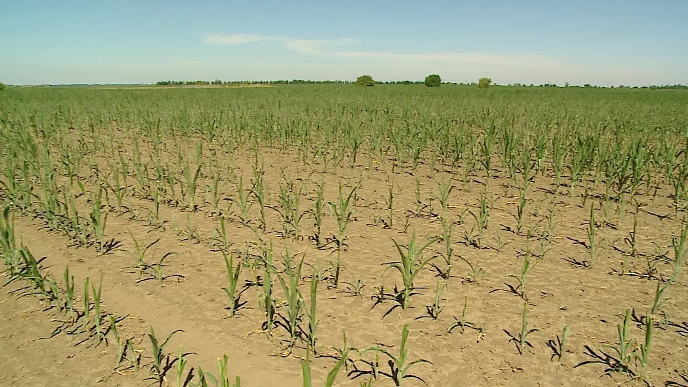 Az aszály miatti hitelmoratórium részletei