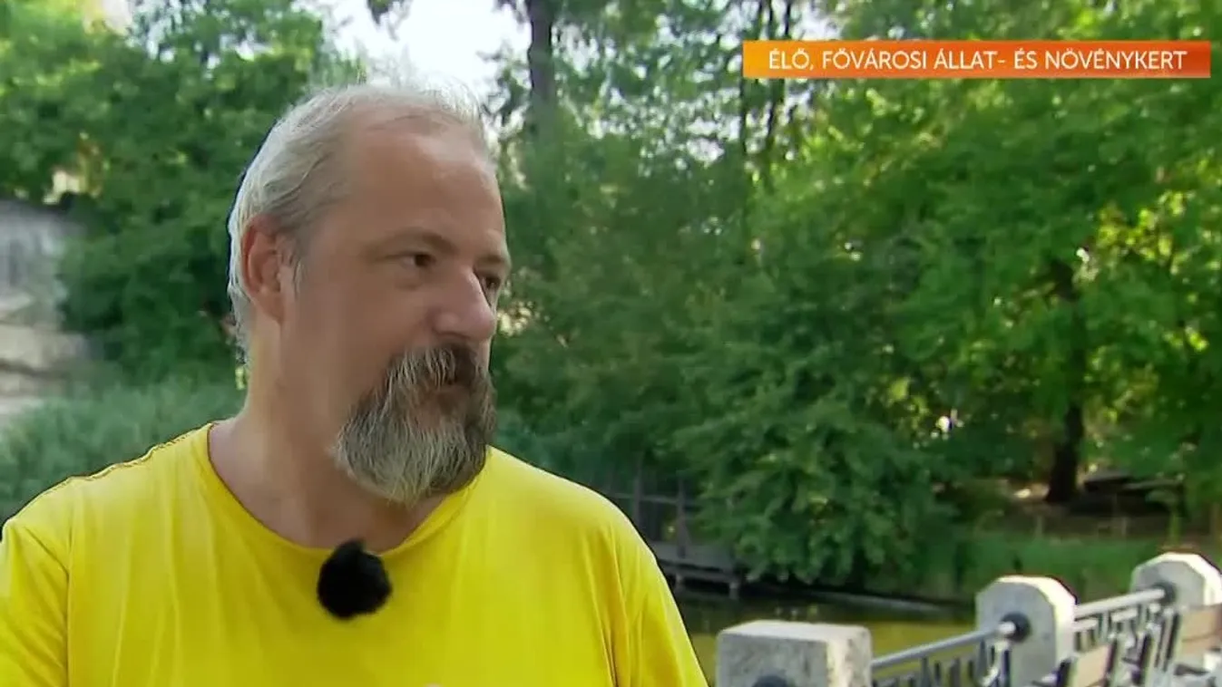 Mozaik - Születésnapját ünnepli a Fővárosi Állatkert