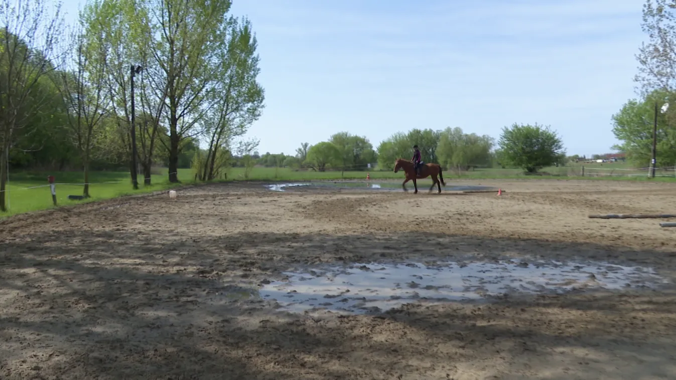 Radar: A lovaglás előnyei