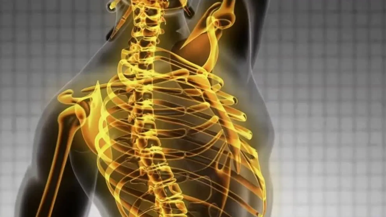 Radar: Manuálterápia