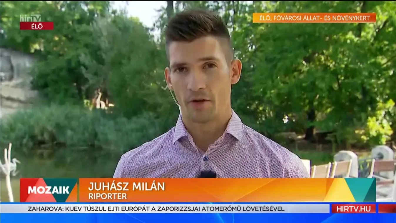 Mozaik - Születésnapját ünnepli a Fővárosi Állatkert (2022-08-09)