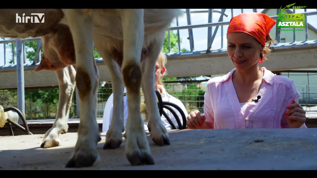 Zsuzsi asztala: Rugdalodzó