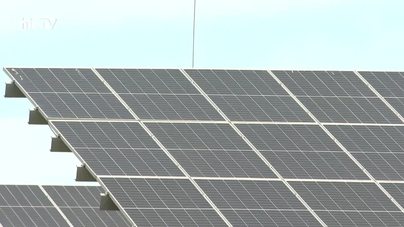 Zöldövezet (2022-08-28)