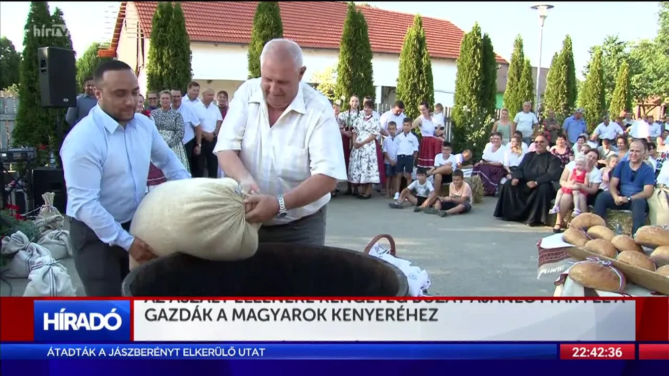 Az aszály ellenére rengeteg búzát ajánlottak fel a gazdák a magyarok kenyeréhez