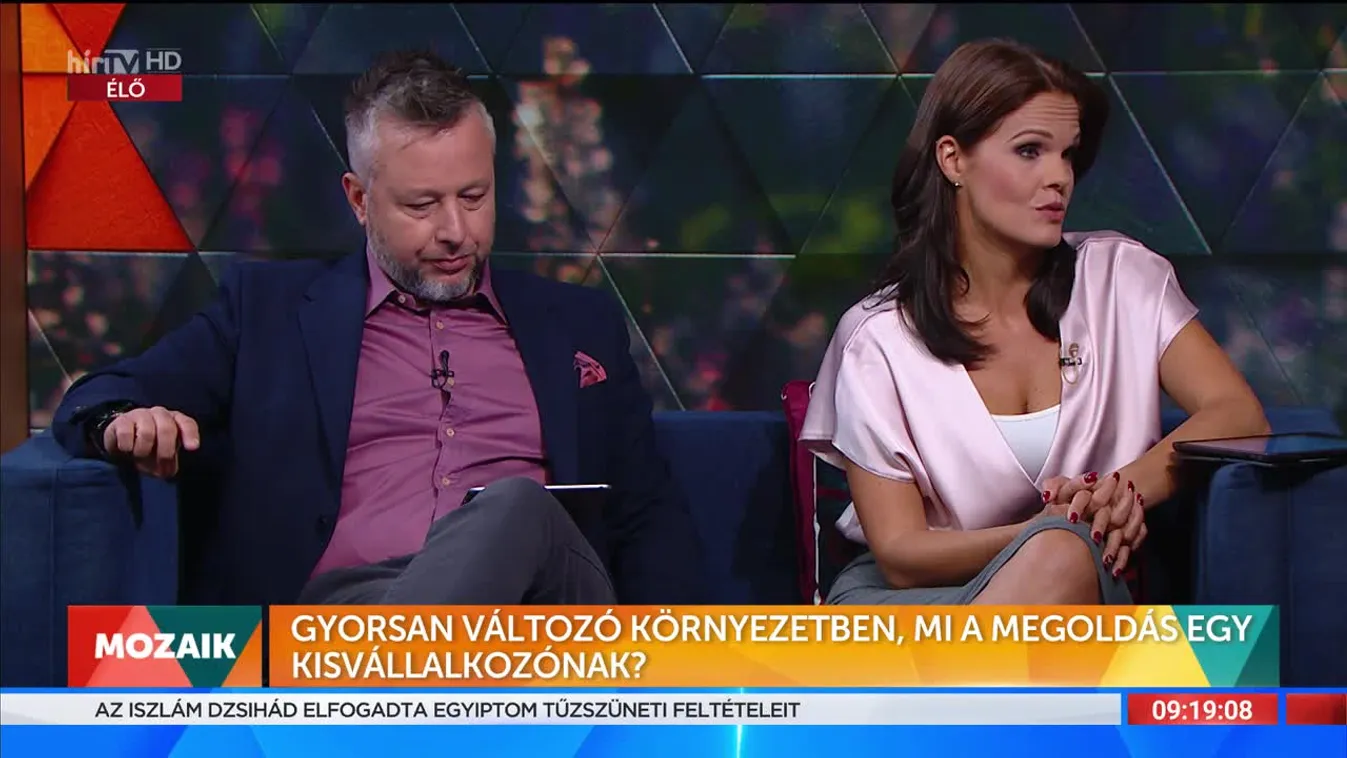 Mozaik - Gyorsan változó környezetben mi a megoldás egy kisvállalkozónál?