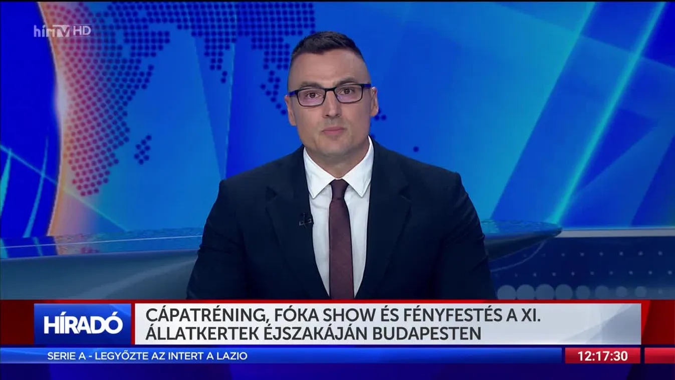 Cápatréning, fóka show és fényfestés a XI. Állatkertek Éjszakáján Budapesten