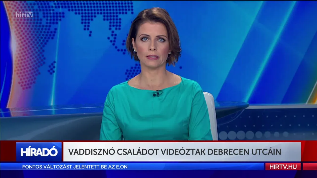 Vaddisznó családot videóztak Debrecen utcáin