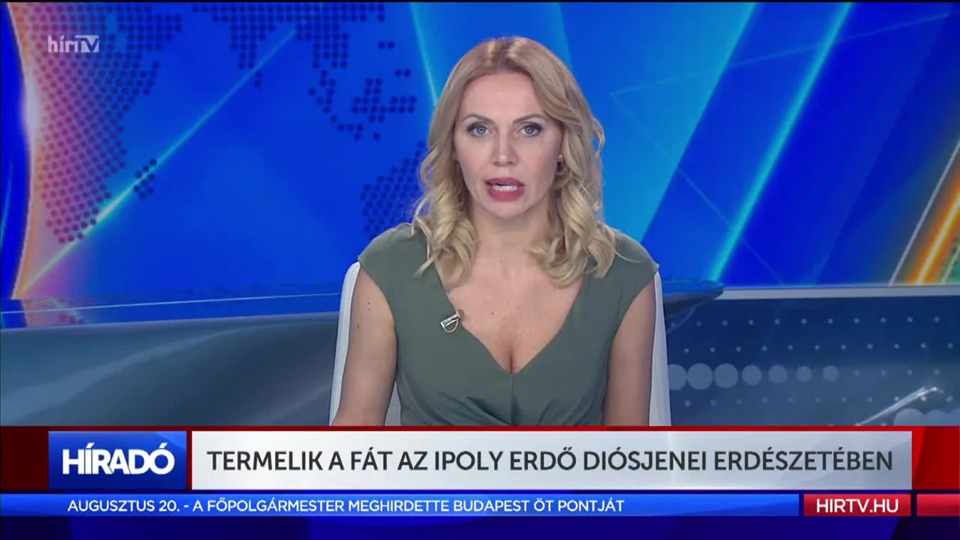 Termelik a fát az Ipoly Erdő diósjenei erdészetében