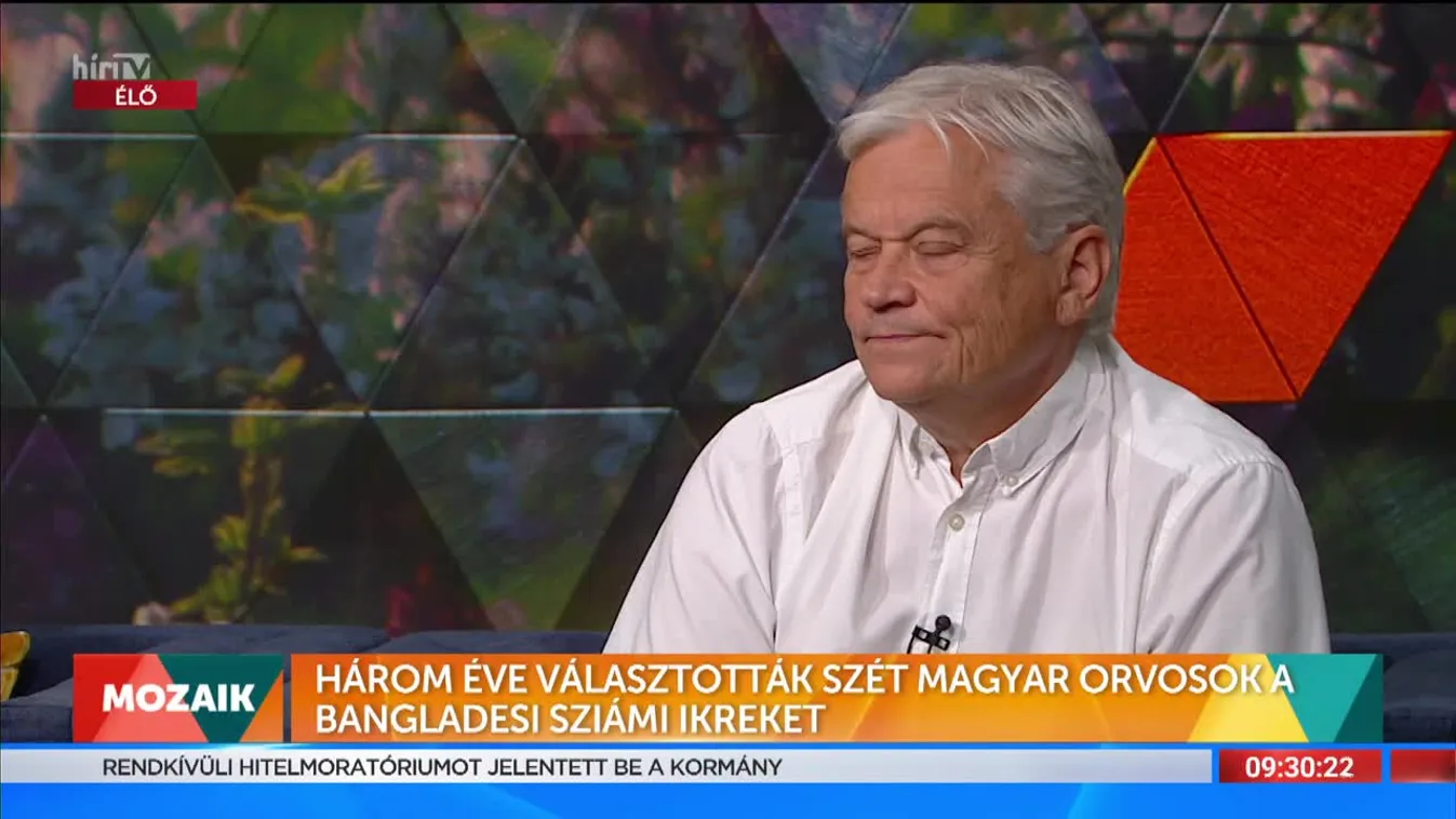 Mozaik - Szabadegyetem indul az évforduló alkalmából Krisztus, a tudomány megváltója címmel (2022-08-01)