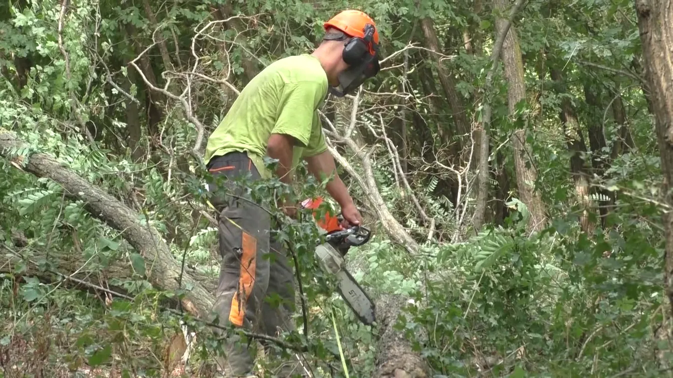 Kiemelkedő az érdeklődés a hatósági áras tűzifa program iránt