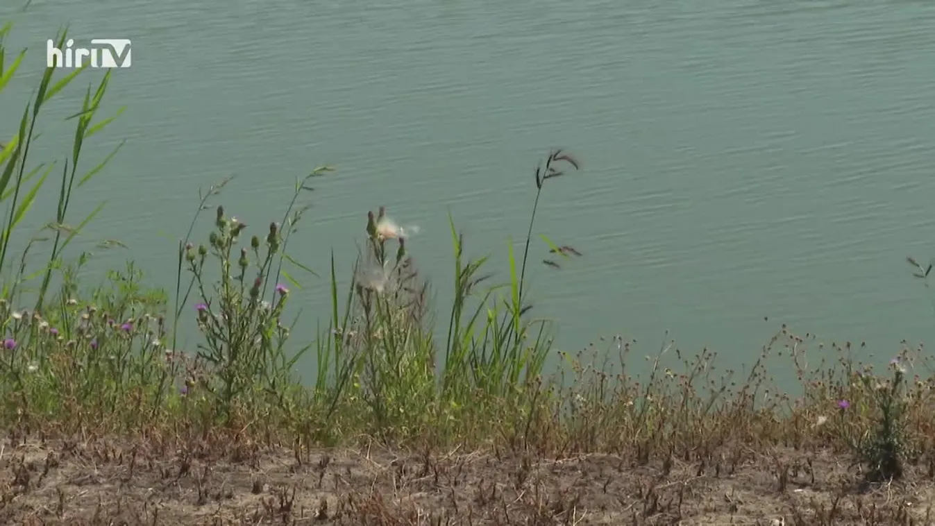 Zöldövezet (2022-09-11)