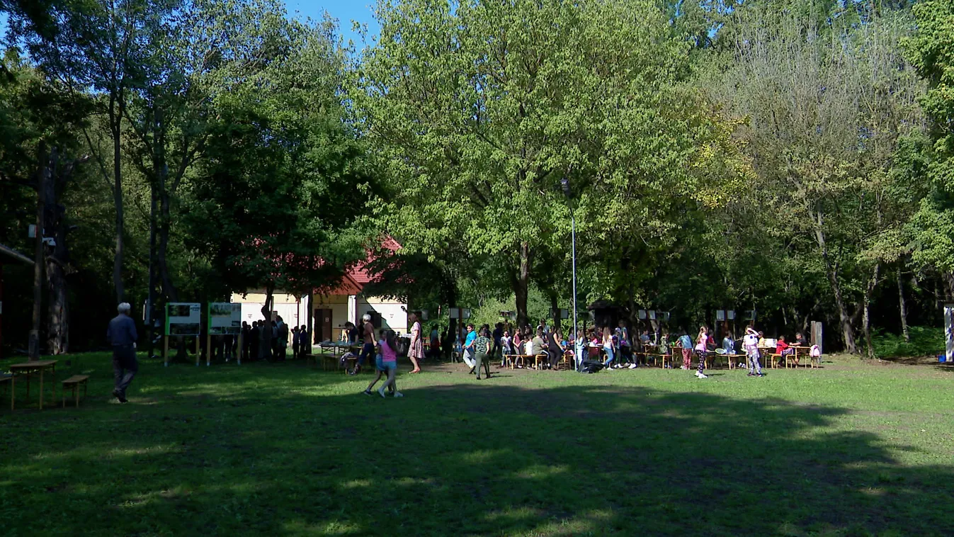 Radar: Főszerepben a környezettudatosság