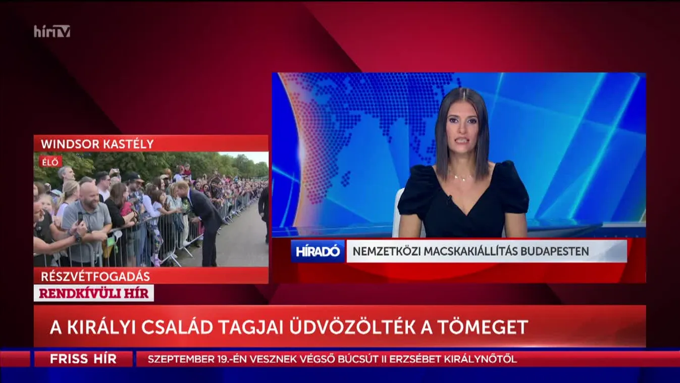 Nemzetközi macskakiállítás Budapesten