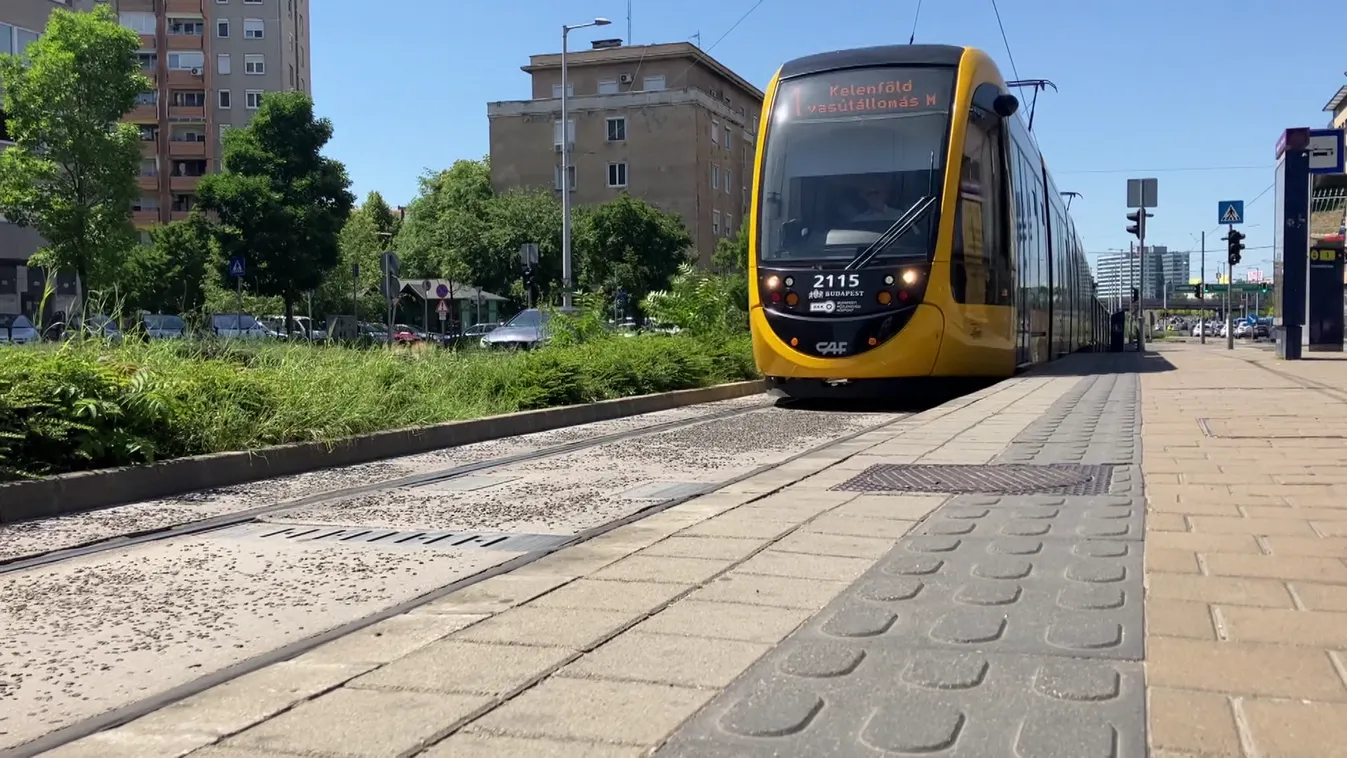 Radar: A jó vezető