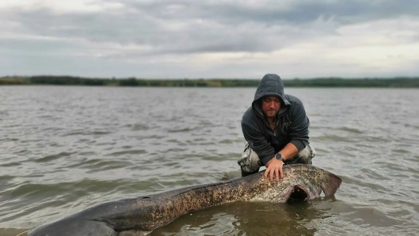 Óriási harcsát fogtak a Hoór-völgye víztározón
