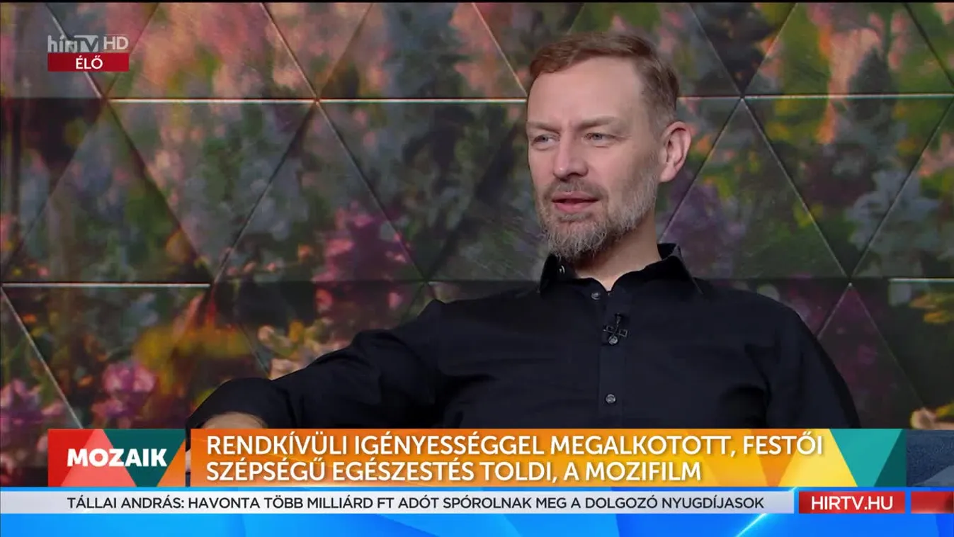 Mozaik - Rendkívüli igényességgel megalkotott, festői szépségű egészestés Toldi, a mozifilm (2022-09-05)