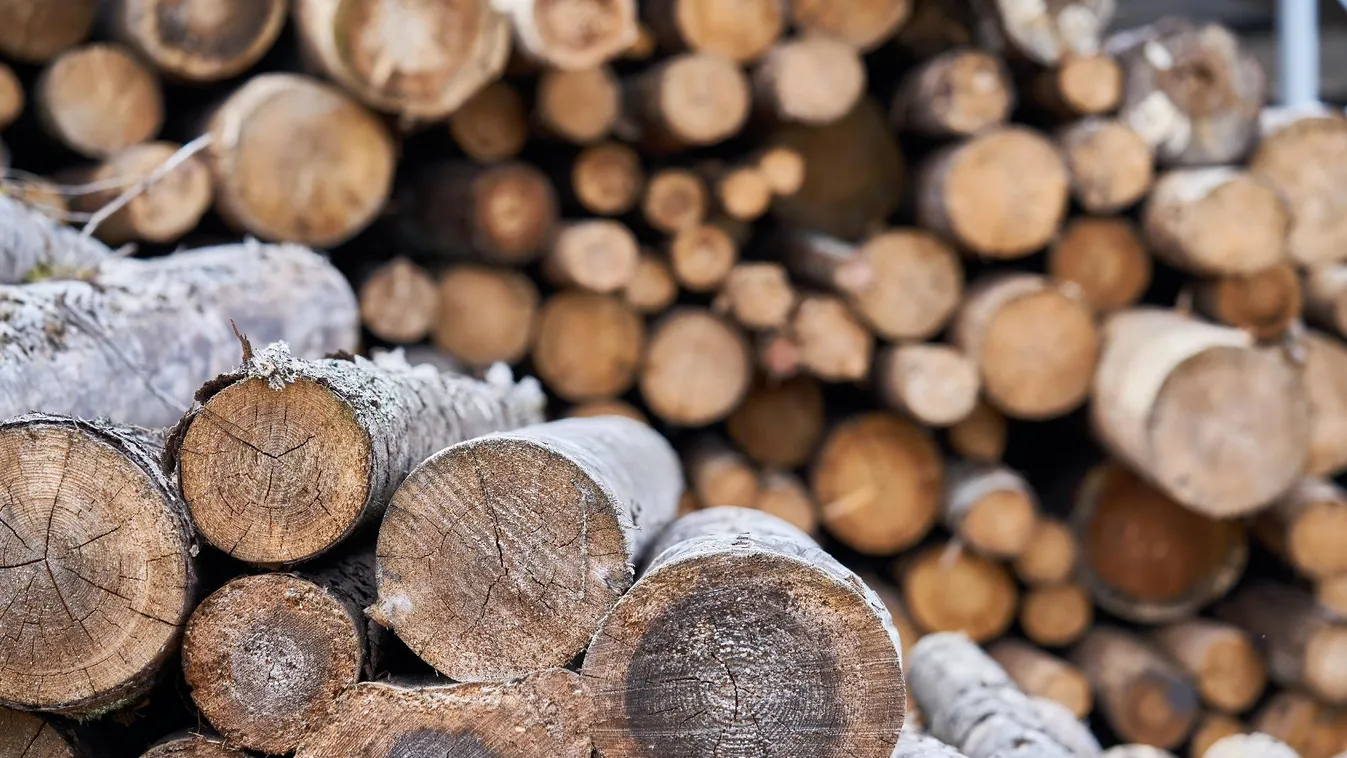 Így lehet hozzájutni a hatósági áras tűzifához