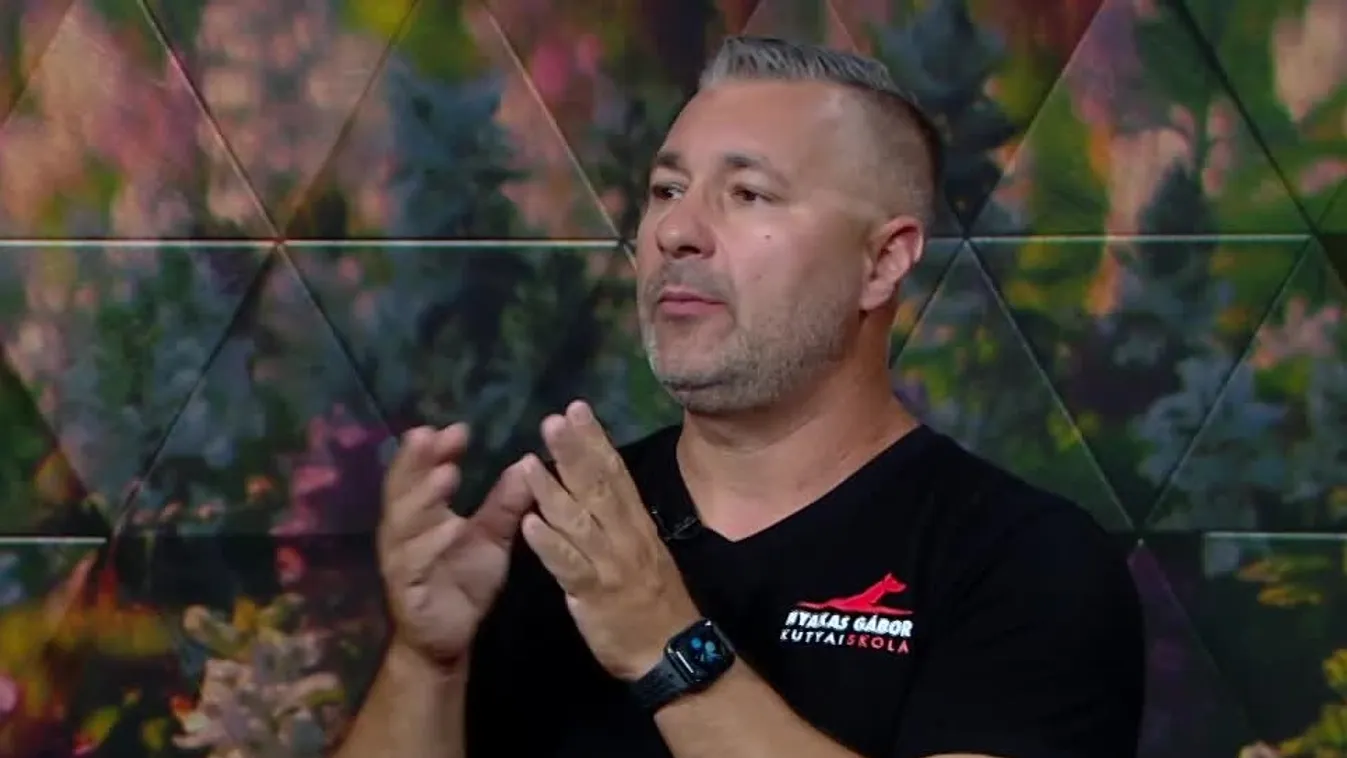 Mozaik - Ha egyedül marad otthon a kutya