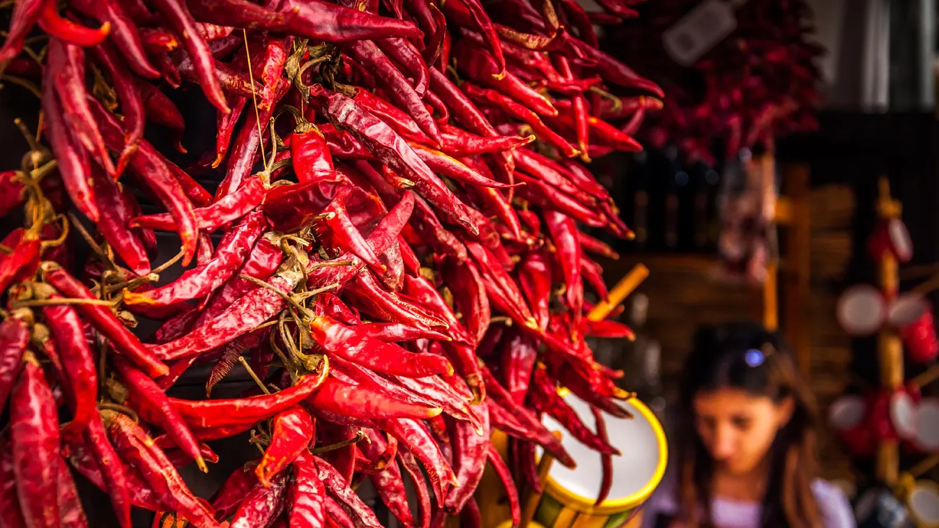 AM: a fűszerpaprika-termesztés versenyképessége is a technológia megújításától függ