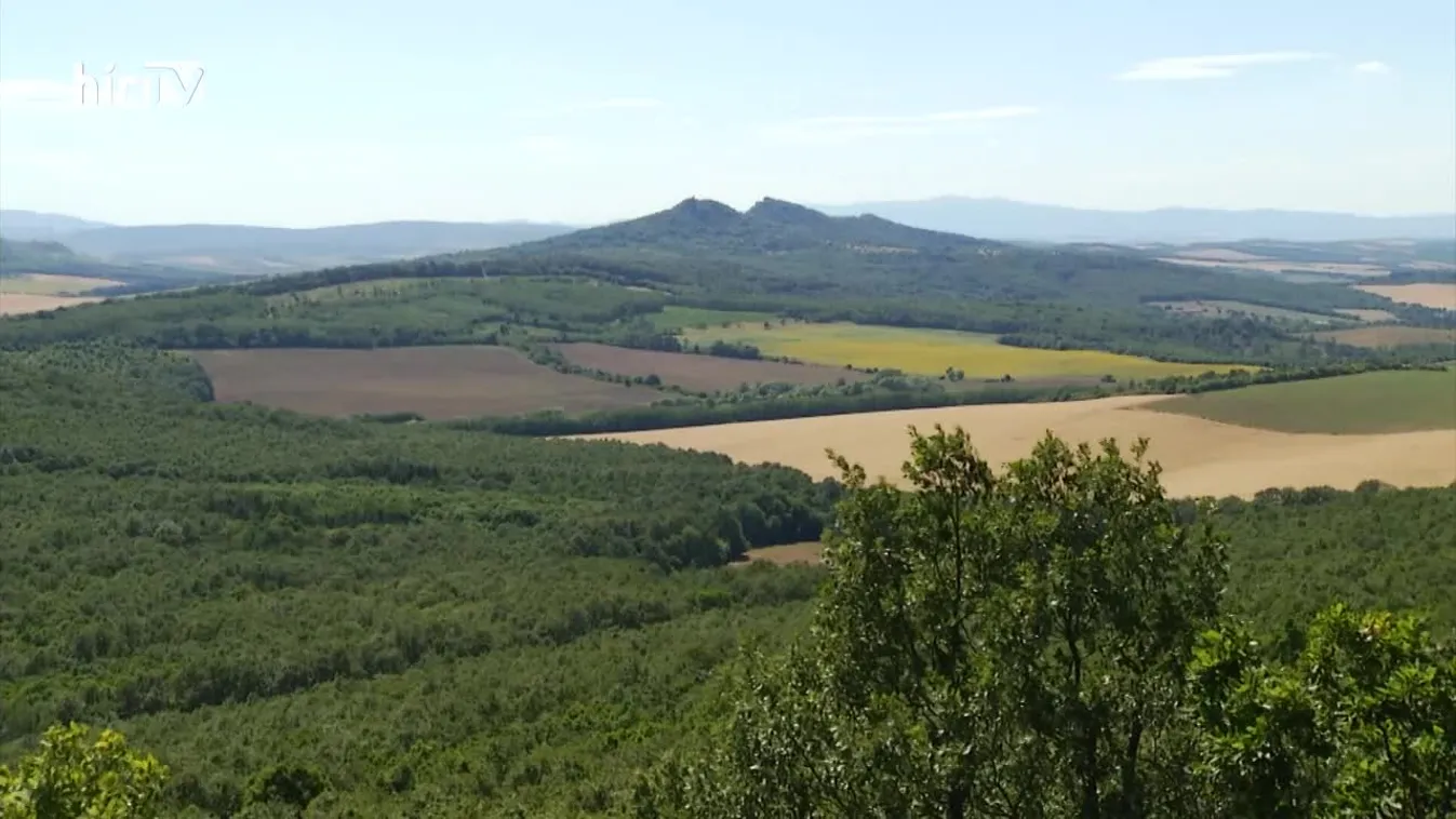 Zöldövezet (2022-09-25)