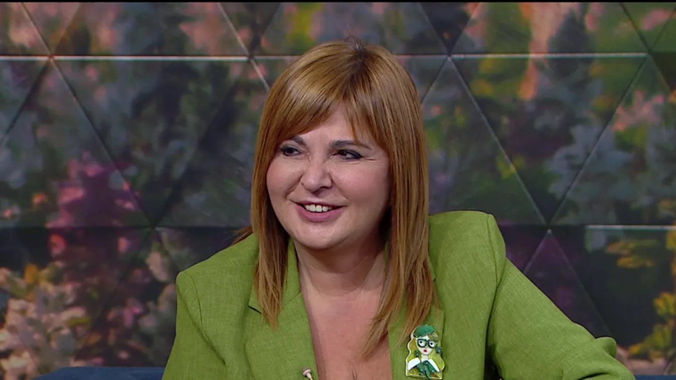 Mozaik - Hogyan öltözzünk idén ősszel?